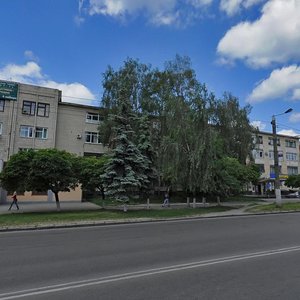 Kyivs'ka Street, 79, Zhytomyr: photo