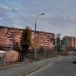 Marshala Tymoshenka Street, 1, Kyiv: photo