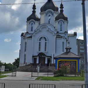 Pasichna vulytsia, 83, Lviv: photo