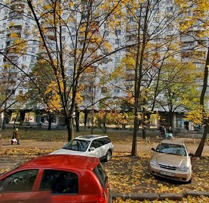 Ihoria Shamo Boulevard, 10, Kyiv: photo