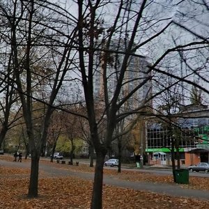 Verkhovnoi Rady Boulevard, 14, Kyiv: photo