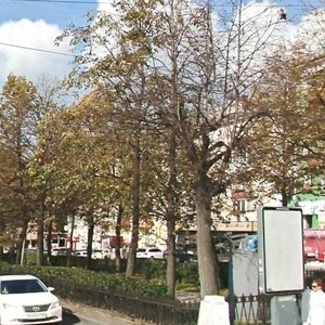 Komsomolsky Avenue, 30, Perm: photo