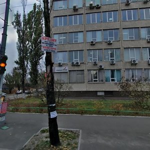 Vyzvolyteliv Avenue, 1, Kyiv: photo