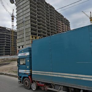 Peter Metalnikov Street, 5к2, : foto