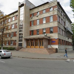 Antona Tsedika Street, 14, Kyiv: photo