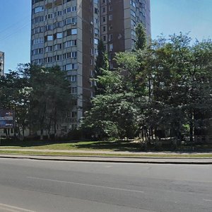 Prospekt Dobrovolskoho, 100, Odesa: photo