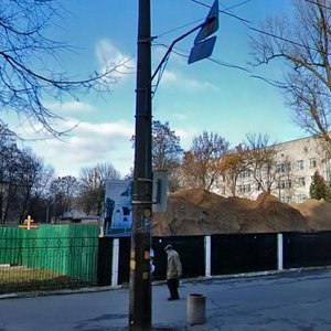 Bahhovutivska Street, 1А, Kyiv: photo