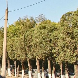 Beıimbet Maılın kóshesi, 218, : foto