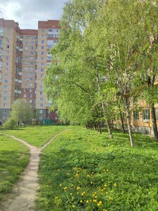 Dybenko Street, 18к1, Saint Petersburg: photo