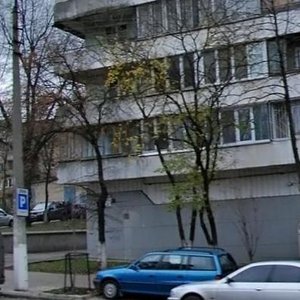 Bohdana Havrylyshyna Street, 8, Kyiv: photo