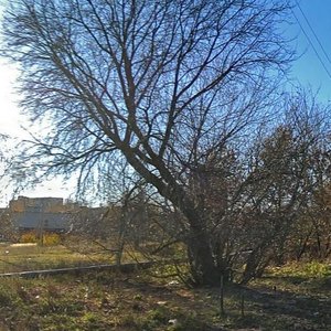 Nakhimova Street, 66к2, Ryazan: photo