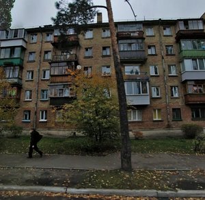 Alma-Atynska Street, 52, Kyiv: photo