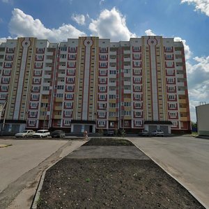 Липецк, Бородинская улица, 76: фото