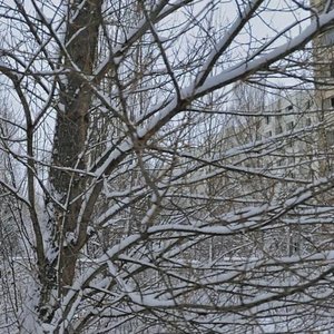 Serzhanta Lazarieva Street, 3, Pripyat: photo