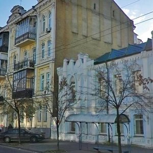 Saksahanskoho Street, 81, Kyiv: photo