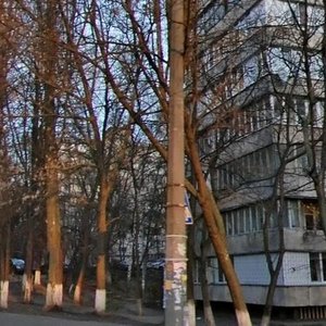 Novohospitalna Street, 5А, Kyiv: photo