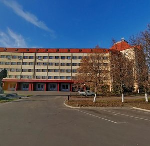 Marshala Malynovskoho Street, 6, Kyiv: photo