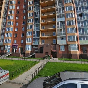 Antonova-Ovseenko Street, 5к1, Saint Petersburg: photo