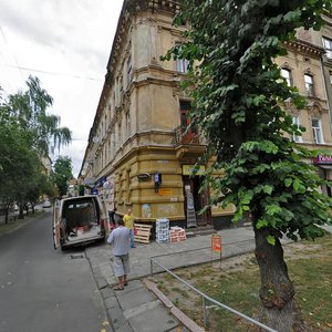 Ulitsa Konstantina Levitskogo, 9/2, Lviv: photo