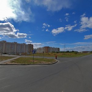 Череповец, Шекснинский проспект, 16: фото