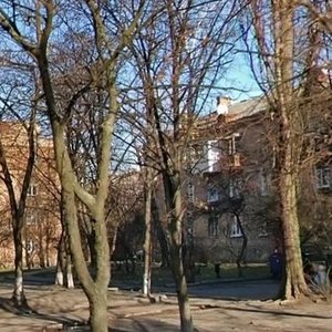 Maksyma Berlinskoho Street, 16, : foto