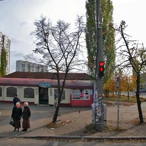 Pavla Tychyny Avenue, 20Б, Kyiv: photo