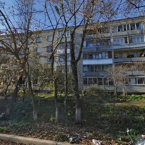 Dubrovitsy Village, 19, : foto