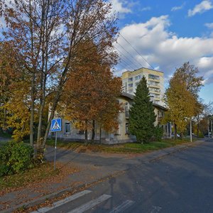 Lizy Chajkinaj Street, 15, Minsk: photo