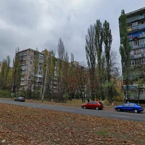 Sholom-Aleikhema Street, 24, Kyiv: photo