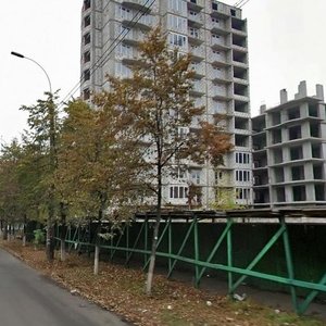 Yuriia Paskhalina Street, 17 ، كييف: صورة