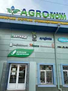 Muqanna Street, 28А, Tashkent: photo