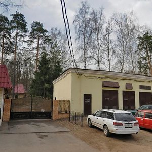 Institutskaya ulitsa, 35, Shelkovo: photo