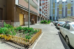 Vilerovskiy Lane, 6, Saint Petersburg: photo