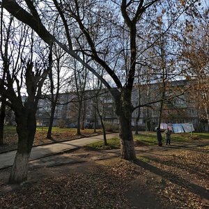 Frunze Street, 23, Tula: photo