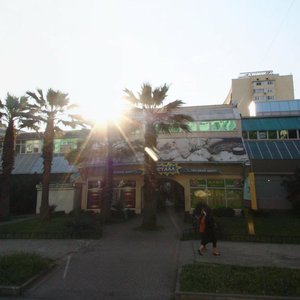 Navaginskaya Street, 7к3, Sochi: photo