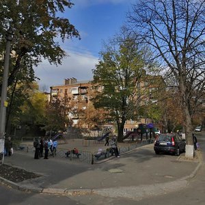 Starokyivskyi Lane, 1/3, : foto