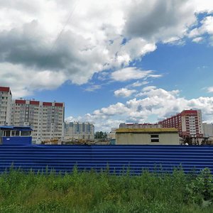 Санкт‑Петербург и Ленинградская область, Ладожский бульвар, 1к1: фото