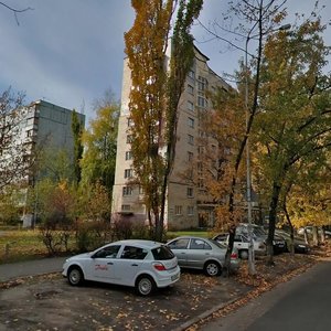 Entuziastiv Street, 29, Kyiv: photo