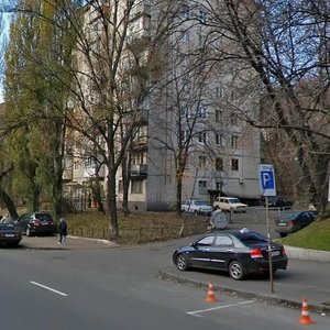 Mechnykova Street, 7А, Kyiv: photo