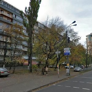 Raisy Okipnoi Street, 9 ، كييف: صورة