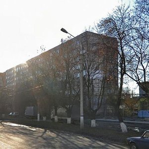 Leyteyzena Street, 4, Tula: photo