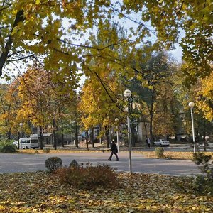 Bulvar Shevchenka, 14, Zaporizhia: photo