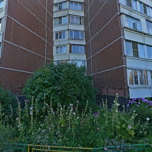Novokosinskaya Street, 6к2, : foto