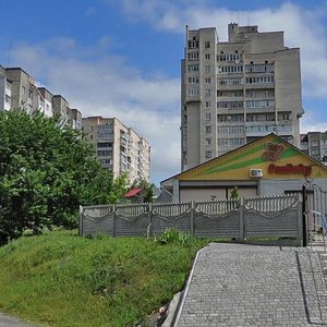 Хмельницкий, Улица Максима Зализняка, 8: фото