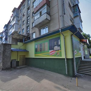 Vulytsia Malyshka, 1, Ternopil: photo