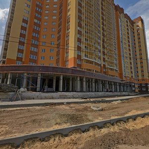 Shishkova Street, 142 ، فورونيج: صورة