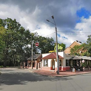 Soshenka Street, 1, Kyiv: photo