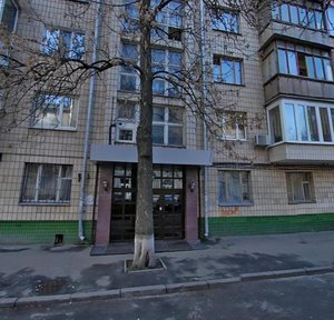 Panasa Myrnoho Street, 7А, Kyiv: photo