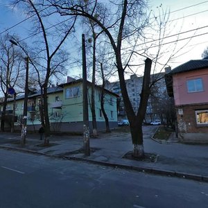Schusieva Street, 25, Kyiv: photo