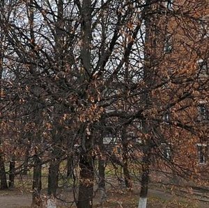 Ulitsa Bazhenova, 7А ، : صورة